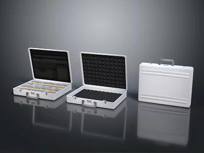 White Tool Cases Open and Closed with Storage Compartments for Equipment Organization 3d model