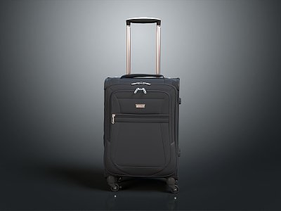 Modern Luggage Case Luggage Case Business Luggage Case 3d model