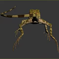 Lizard Anime Lizard Cartoon Lizard Reptile Cold Blooded Animal Reptile 3d model