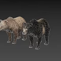 Realistic 3D Brown Bear And Black Bear Models Standing On Dark Background 3d model