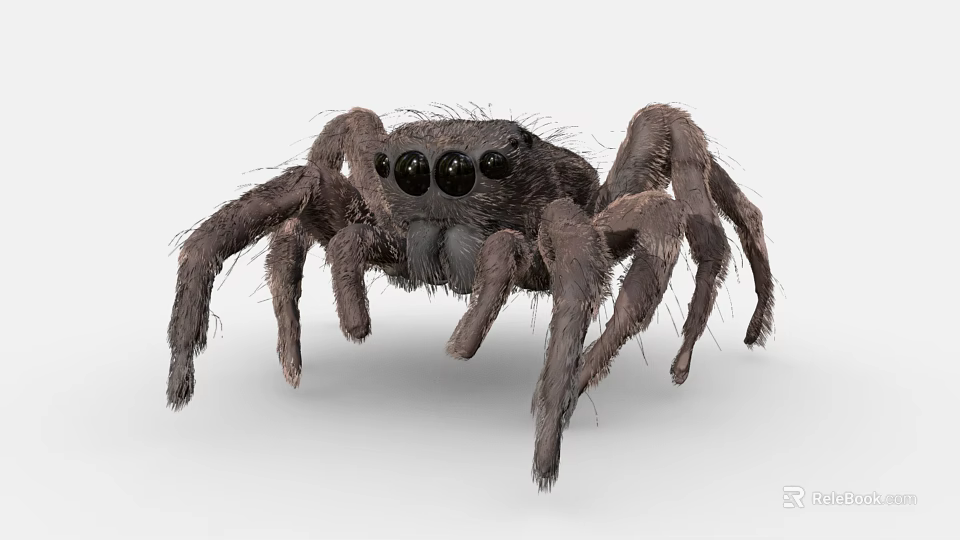Hairy Reptile With Long Legs And Black Eyes In Fuzzy Body Appearance 3d model 