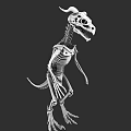 Detailed Prehistoric Reptile Skeleton with Horned Structure in Standing Pose