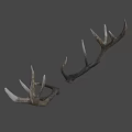 Natural Brown Deer Antlers As Decorative Wall Art For Rustic Homes