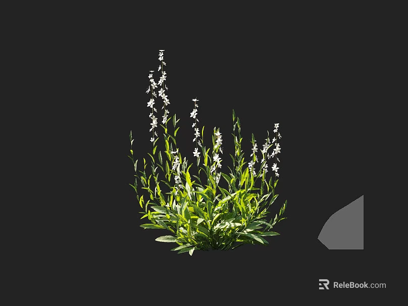 Lush Green Leafy Plants With Small White Flowers Growing Naturally Outdoors 3d model 