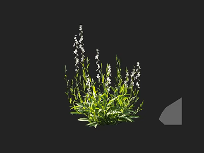 Lush Green Leafy Plants With Small White Flowers Growing Naturally Outdoors 3d model