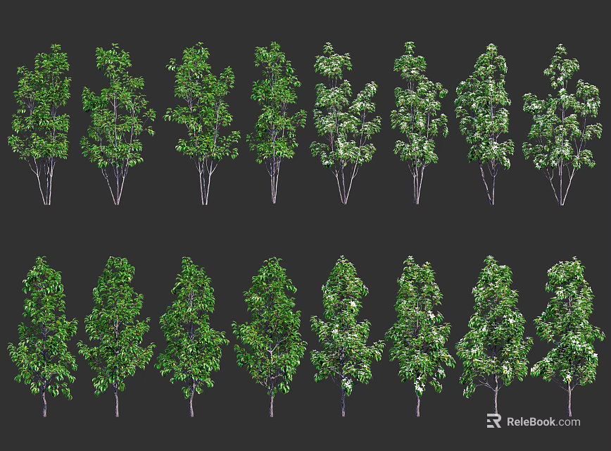 Arbor Trees Various Green Foliage Shapes for Landscape Design 3d model 