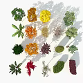 Trees with various colors shapes and red orange green bushes under blue sky white ground