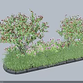 Two Lush Shrubs Surrounded by Green Plants and Pink Flowers With Wooden Border