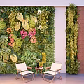Lush Green Plant Wall With Various Plants Flowers And White Chairs In Indoor Space