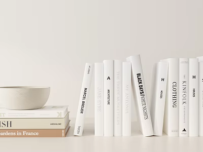 Minimalist White Book Display With Decorative Bowl And Stacked Books 3d model
