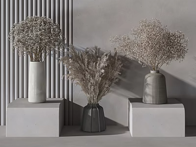 Dried Flowers Arranged in Modern Vases on White Cube Pedestals Gray Textured Wall 3d model