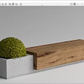 Modern Landscape Bench With Wooden And Concrete Structure And Green Shrub Ball
