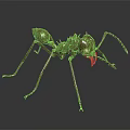Brown 3D Rendered Ant With Large Mandibles Long Antennae Slender Legs Dark Background And Reflection