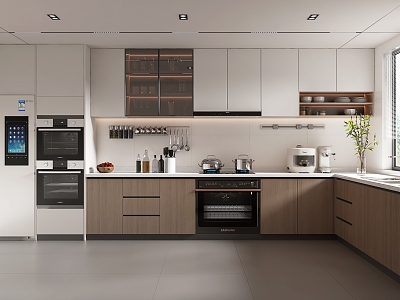 Modern Kitchen model