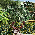 Lush Green Plant Wall Featuring Plants Yellow Flowers Deer Statue And Pebbles In Garden