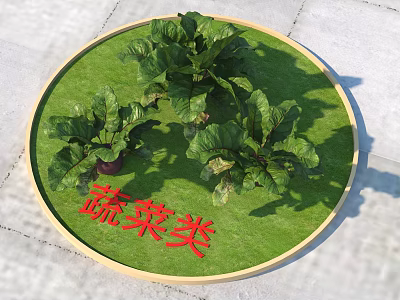 Fresh Vegetable Plants With Green Grass Mat In Round Tray And Category Sign 3d model