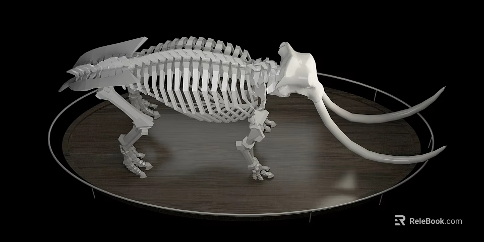 Medical Teaching Device Displaying Mammoth Skeleton Model On Circular Wooden Stand 3d model 