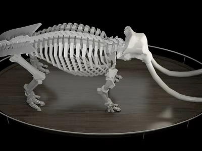 Medical Teaching Device Displaying Mammoth Skeleton Model On Circular Wooden Stand 3d model