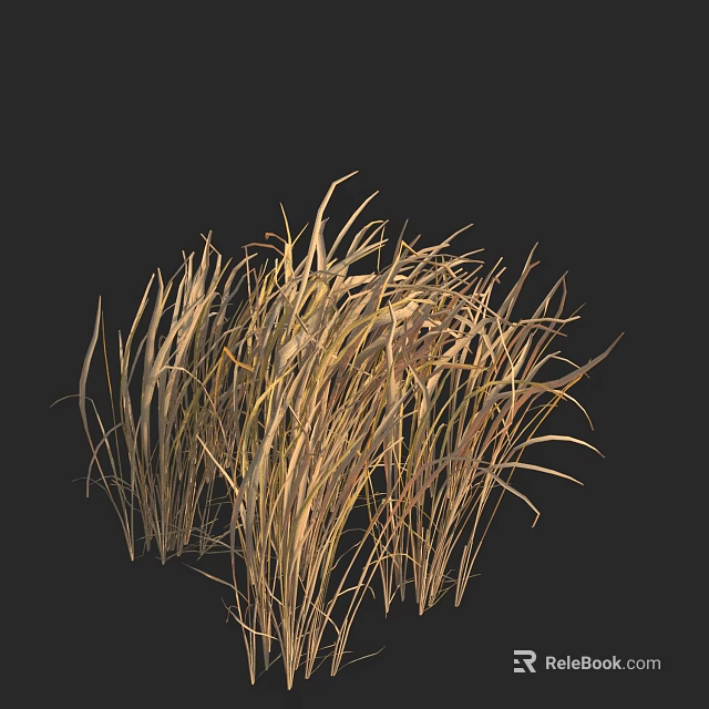 Dry Brownish Yellow Grass Cluster Against Black Background With Natural Texture 3d model 