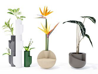 Modern vase floral ornaments combination 3d model