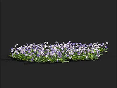 Vibrant Purple And White Flowers With Green Leaves In Lush Flower Bed 3d model