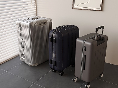 Modern luggage trolley suitcase model