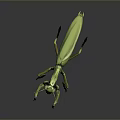 Realistic Green Mantis Featuring Detailed Body Structure Long Forelegs And Antennae