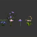 Vibrant Water Plants Featuring Pink Purple Lotus Yellow Flowers Green Leaves And Hydrangea