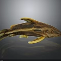Unique Brown and Yellow Fish with Distinctive Fins and Body Structure on Dark Background