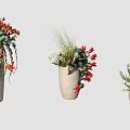Various Bonsai Potted Plants with Colorful Flowers Green Foliage in Ceramic Pots and Lush Growth