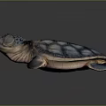Modern Turtle Small Turtle Green Turtle Big Turtle Black Turtle 3d model