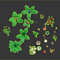 Diverse Plants With Green Leaves Purple Red Small White Flowers Apple And Shovel