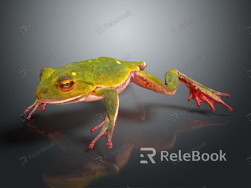 Modern frogs Frogs model