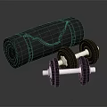 Black Rolled Up Yoga Mat And Dumbbells For Home Fitness Equipment