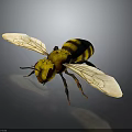 3D Rendered Bee With Yellow Black Stripes Transparent Wings And Red Eyes On Dark Background
