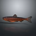 Realistic Brown Swimming Fish With Shiny Scales And Streamlined Body Shape