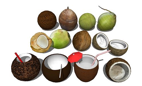 Modern Coconut 3d model