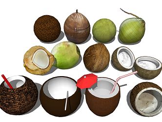 Modern Coconut 3d model