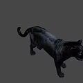 Realistic Black Panther Game Movie Character 3D Model on Green Background