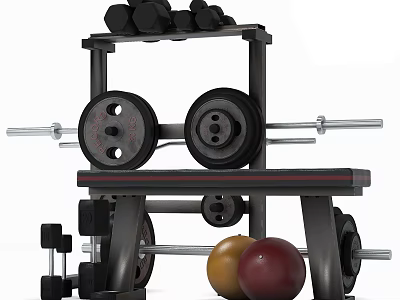 Fitness Sports Equipment Set With Barbell Weight Plates Bench Dumbbells And Medicine Balls 3d model