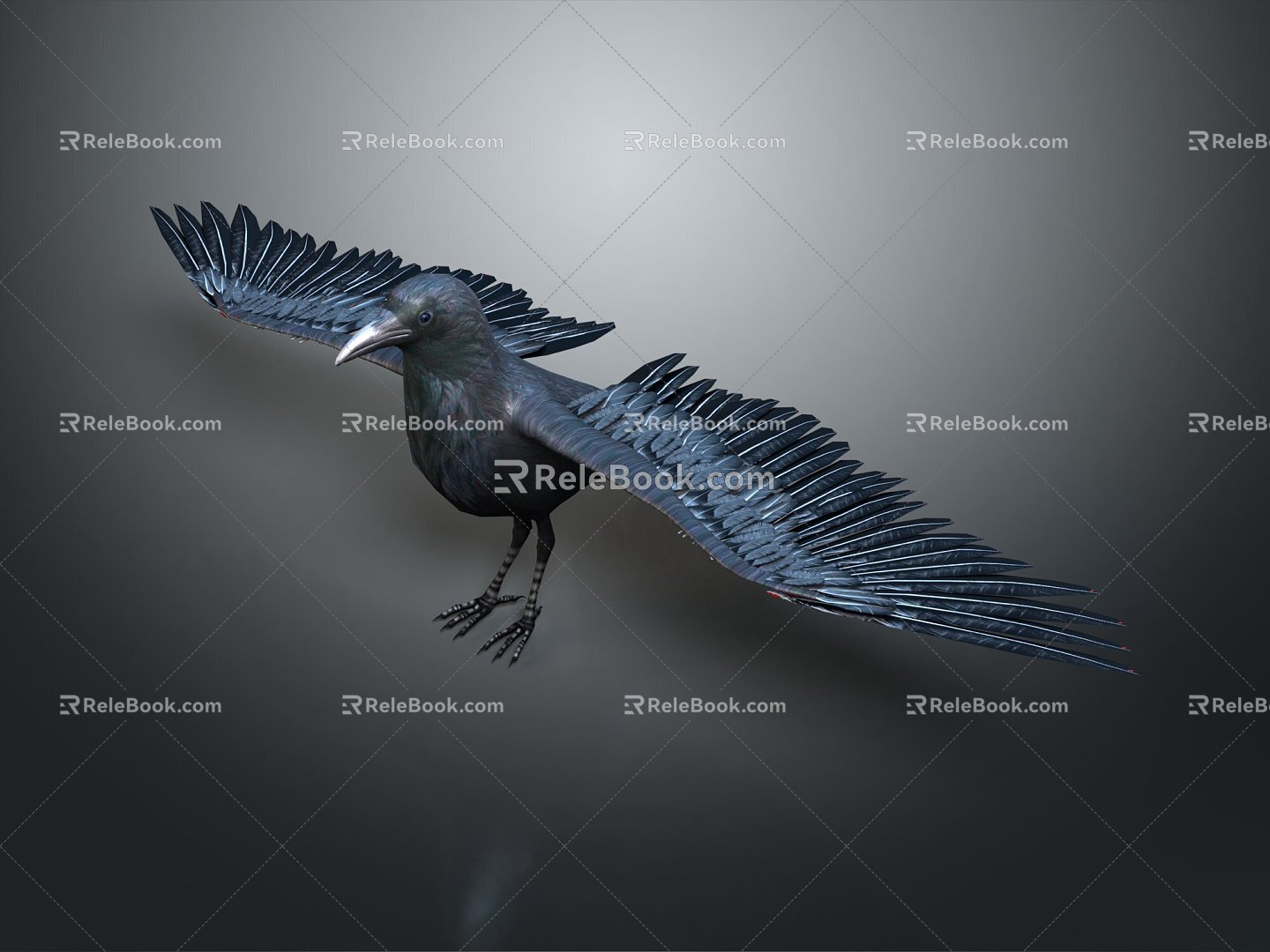 Modern Crow Birds 3d model