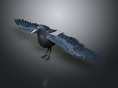 Flying Animal Crow with Spread Wings in Mid Flight Against Gray Background 3d model
