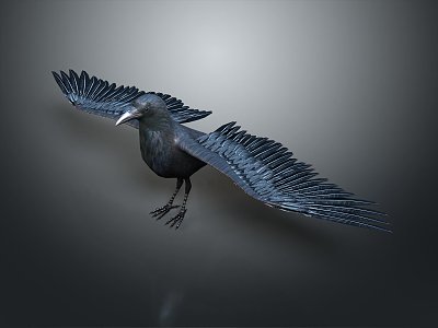 Modern Crow Birds 3d model