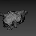 Detailed White Cow Skull With Curved Horns On Dark Background