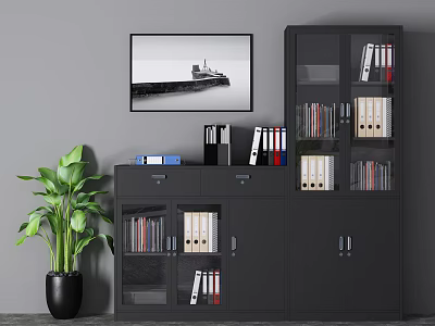 Black Bookcase With Glass Doors Binders Books Green Plant And Wall 3d model