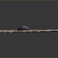 Natural Undulating Sandy Terrain With Large Rock And Scattered Small Pebbles