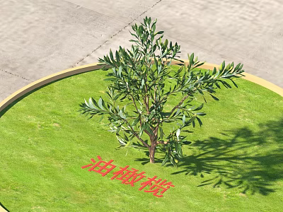 Commercial Landscape Equipment With Circular Green Lawn And Olive Tree For Business Spaces 3d model