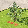 Commercial Landscape Equipment With Circular Green Lawn And Olive Tree For Business Spaces