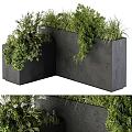 Modern Black Rectangular Concrete Planters With Lush Green Decorative Potted Plants 3d model