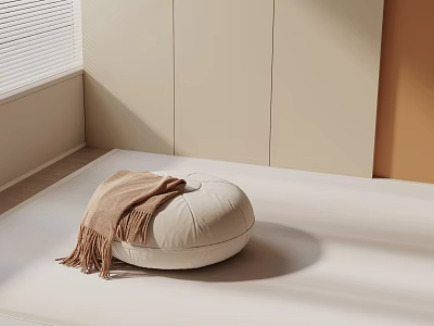 Round Cushion Leisure Chair With Soft Brown Blanket In Sunlit Neutral Room 3d model